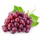 Виноград от питомника в Астрахани